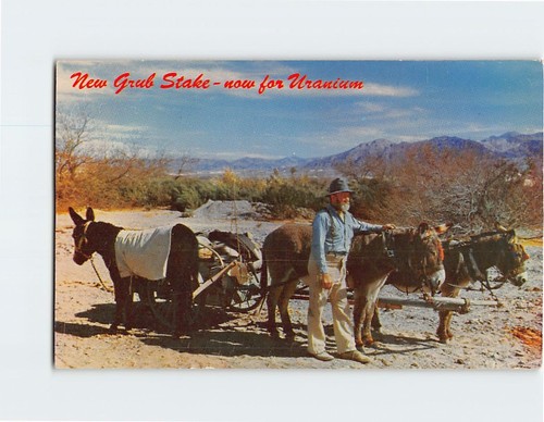 Postcard new grub stake now - stake,