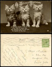 3 Cats Kittens KGV 1/2d Old Postcard A Joyous Birthday Greetings Cat Kitten Pets