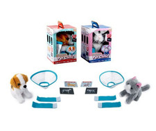 🐾 Poorly Paws Pet Clinic