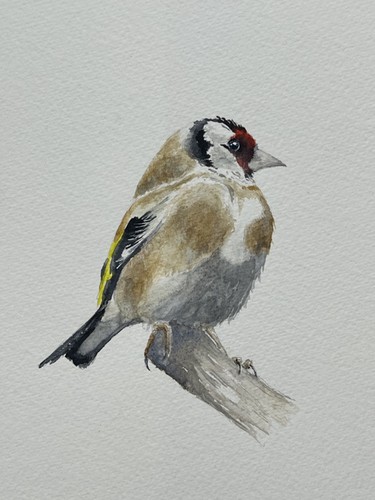 Watercolour painting original - watercolour, painting: