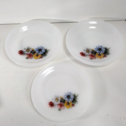 Arcopal france anemone - arcopal, x2