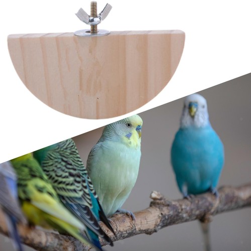 Wooden bird perch stand - wooden,