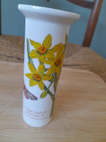 Vintage portmeirion botanic - vintage,