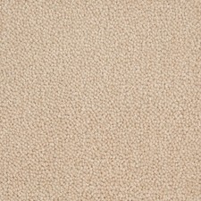 Westex Ultima Twist Penultima