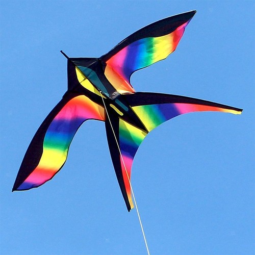 Kite triangle kiting novelty - kiting,