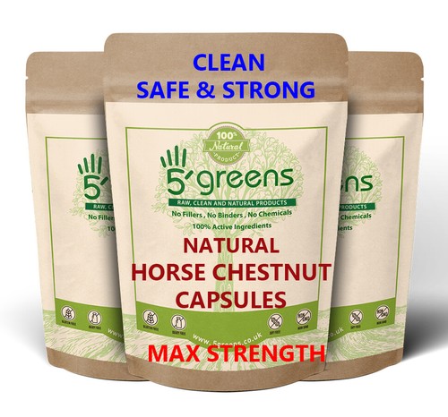 Horse chestnut extract - horse,