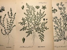 Illustration Pictures