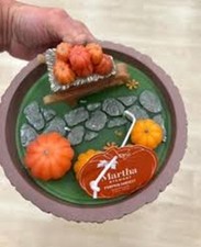 Martha Stewart Pumpkin Patch