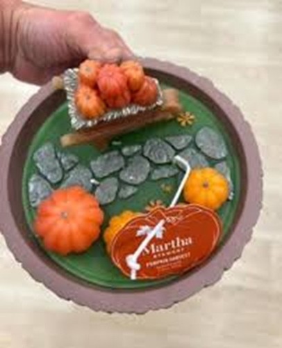 Martha stewart pumpkin patch - pumpkin,