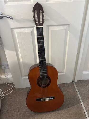 Valencia cg160 guitar nubone - cg160,