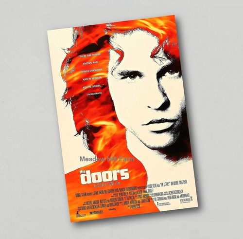 The doors fridge - doors, magnet