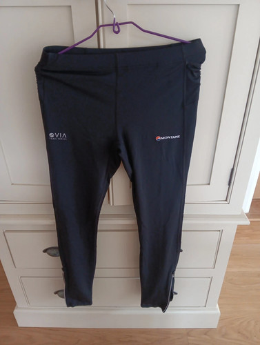 Montane dragon long trail - dragon,