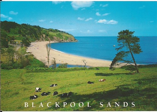 Superb old postcard - postcard,