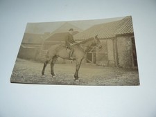C Wreathall on horse at Winestead or Beverley Parks RP Postcard Fox Hunt Hunting