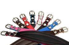 DOG COLLAR GREYHOUND SALUKI