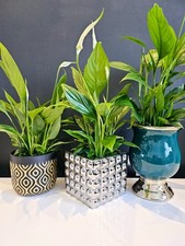 Silver Bubble Flower Pot Cube