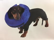 Buster Inflatable Dog Collar -