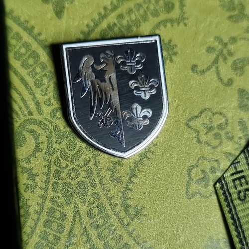 Charlemagne coat arms in - coat, of