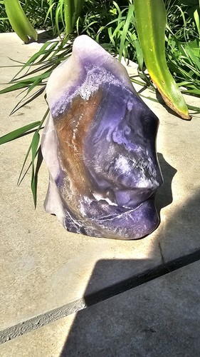 Sale large purple - ✨️sale✨️,
