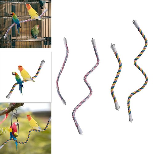 Climbing ropes bungee - climbing, bird
