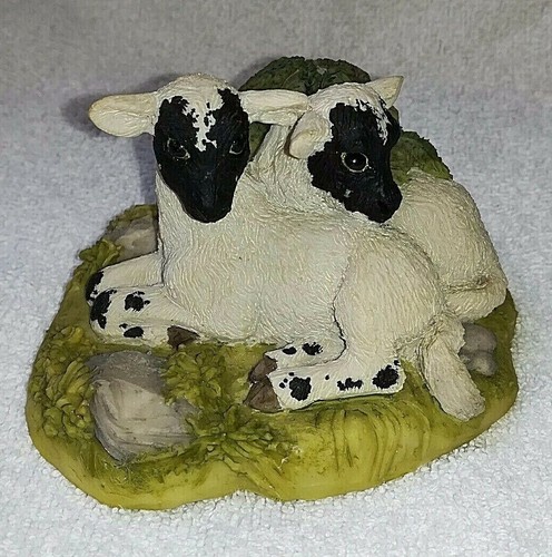 Teviotdale gorgeous lambs - teviotdale,,