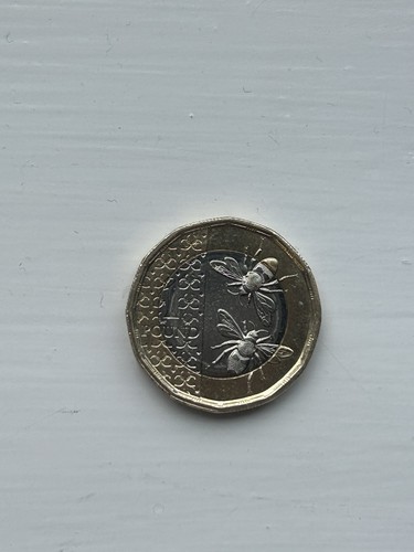 Rare 2025 coin - rare,