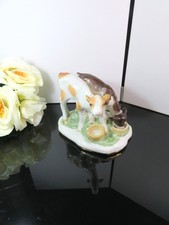 Rare Russian Calves drinking