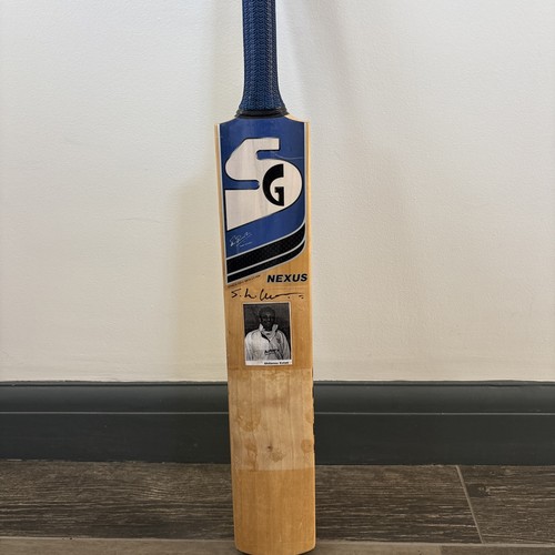 Nexus english willow - sg,