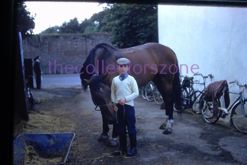 35mm slide 1967 - boy, horse