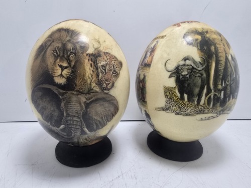 Hand decorated ostrich - decorated,