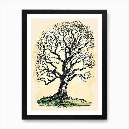 Ebony tree storybook - ebony,