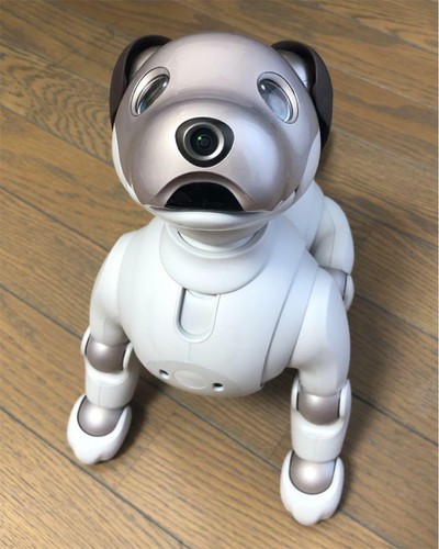 Sony aibo ers 1000 - aibo, ers-1000