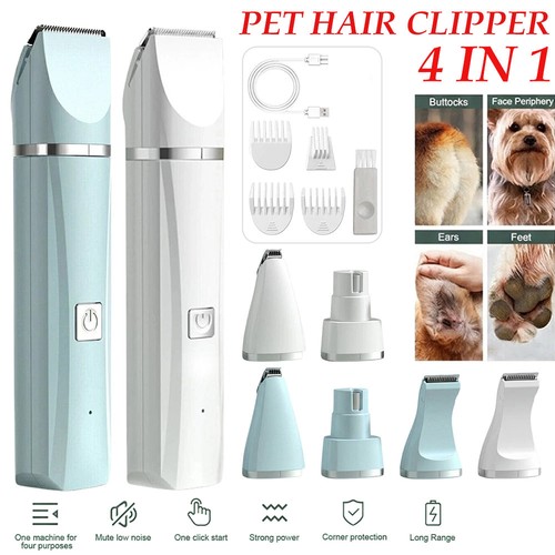 Professional dog grooming - professional,