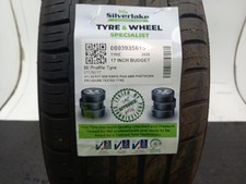 215 50 R17 95W RAPID P609 6MM