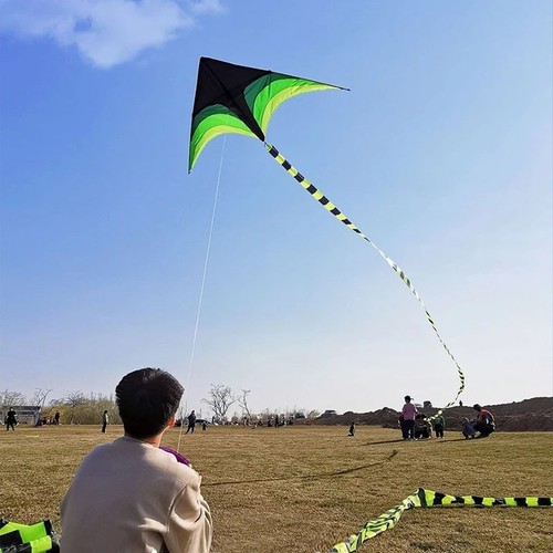 Large delta kite for adults - kite,