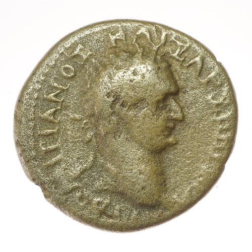 Bronze domitian ad - domitian,