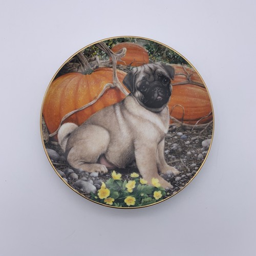 Retired danbury mint pug - retired,