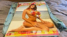THE SUN--PAGE 3 GIRL--OFFICIAL CALENDAR 2006-- good condition