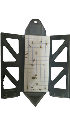 Clothes moth traps - traps, 5