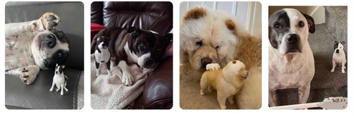 Personalised pet model please - pet,