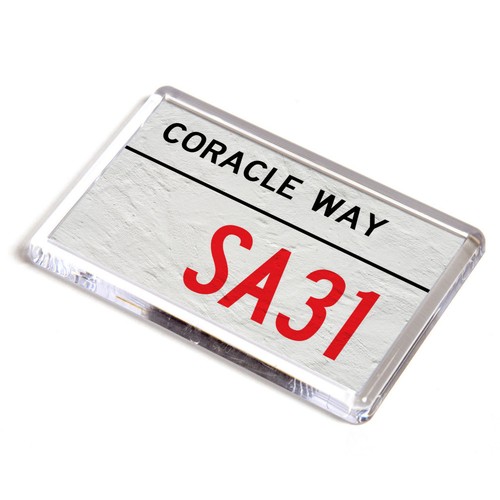 Fridge magnet coracle way - fridge,