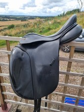 Fairfax adjustable dressage