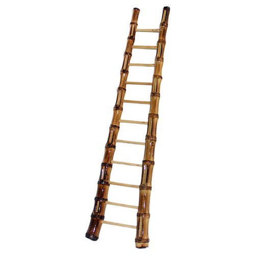 1pcs miniature bamboo - 1pcs,