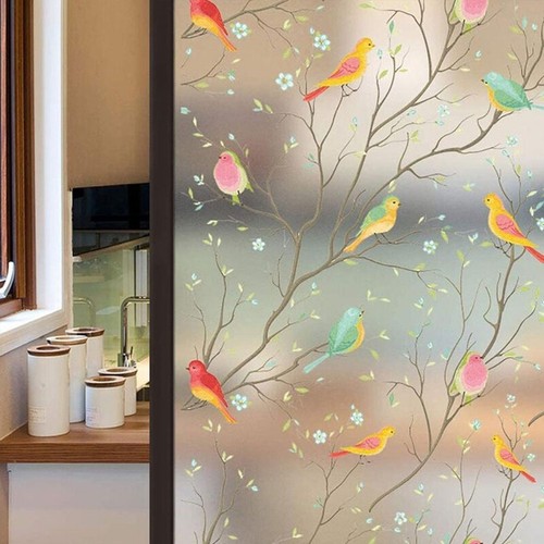 Frosted bird removable window - frosted,