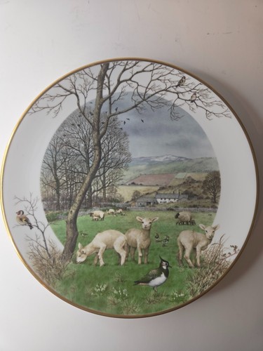 Franklin porcelain peter - franklin,