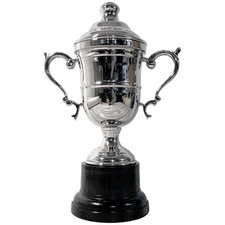 26cm Silver Trophy Cup with