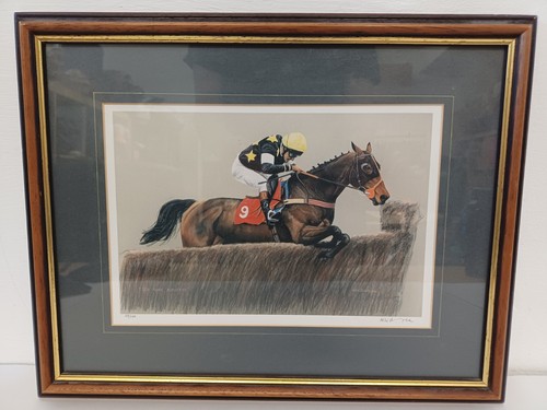 Brunyee horse jumping - n,