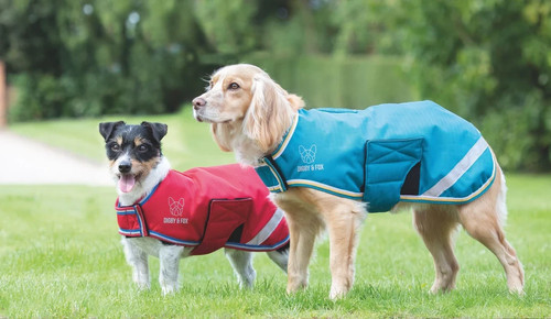 Digby fox waterproof dog - digby, &