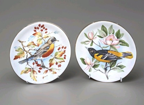 Bird britannia design - 2,