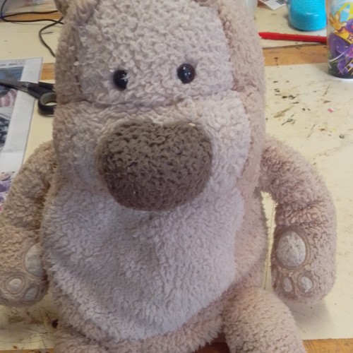 Xpressions ted plush - xpressions, bear